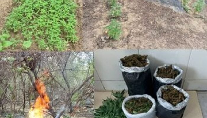 09dbedf3-a576-4375-8abc-a8aedbbb7c60-360x330