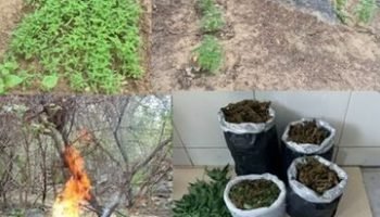 09dbedf3-a576-4375-8abc-a8aedbbb7c60-360x330-1