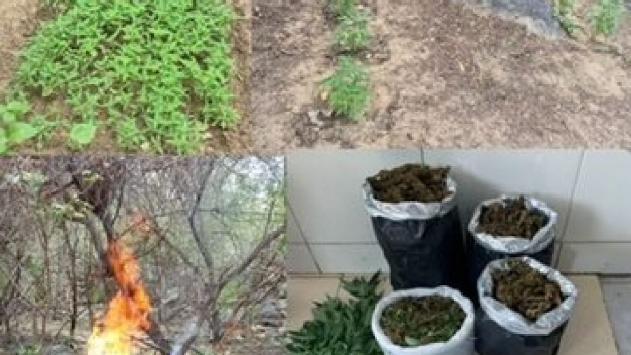 09dbedf3-a576-4375-8abc-a8aedbbb7c60-360x330-1