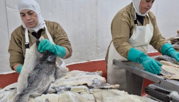 Bacalhau: Crescimento do Consumo no Brasil Gera Preocupações com Sustentabilidade dos Cardumes