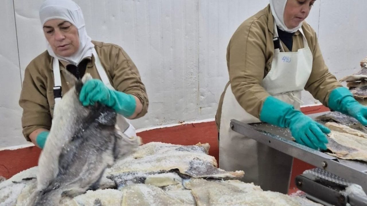 1_bacalhau__processamento_de_salga_em_portugal_-36327425 1_bacalhau__processamento_de_salga_em_portugal_-36327425