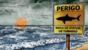 1_jc_opi3001_chargethiago___tubarao_01-36401462