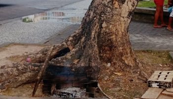 1_praca_do_diario-36426373