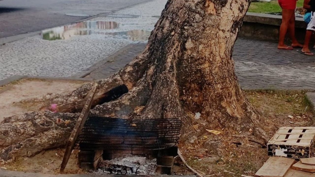 1_praca_do_diario-36426373