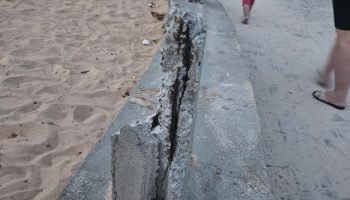 1_segundo_jardim-36365178