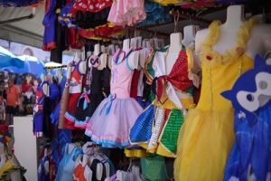 20250217000102765130o-846525