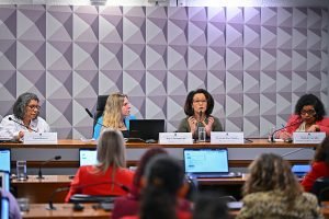 CMCVM - Comissão Permanente Mista de Combate à Violência cont