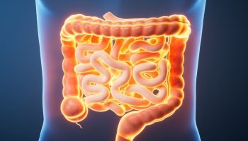 22720e85-intestino_0