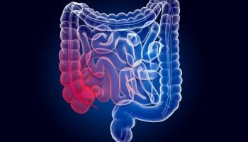 25a19668-intestino_1
