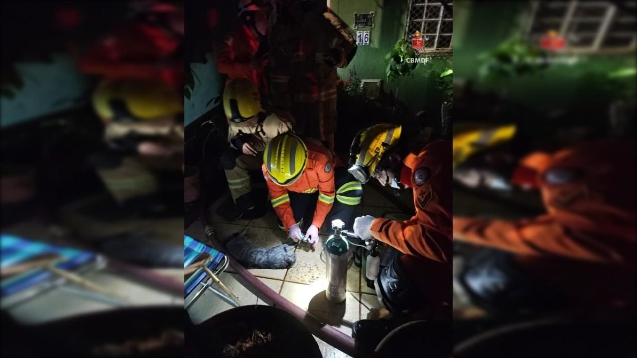 2f2ba715-incendio-gatos-guara-4-1200x675