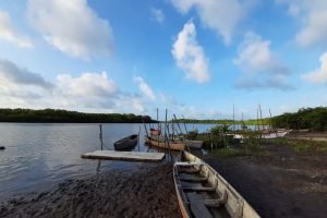 33e303_2d60f60cb4444b15ade5ac55844e9e6b_mv2-36495006