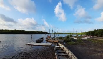 33e303_2d60f60cb4444b15ade5ac55844e9e6b_mv2-36495006