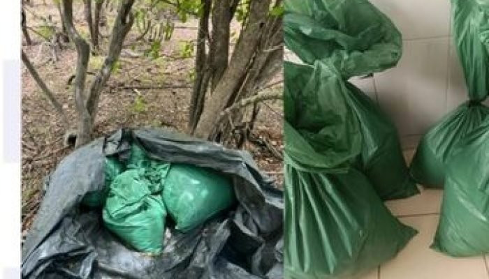 37073438-8542-423c-87d2-c7e5acfede33-360x330