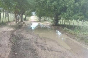 386C7AB7-B896-4F10-8C24-C493C0E8B444