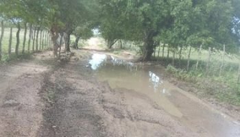 386C7AB7-B896-4F10-8C24-C493C0E8B444