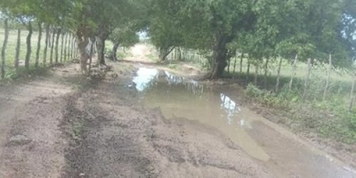 386C7AB7-B896-4F10-8C24-C493C0E8B444