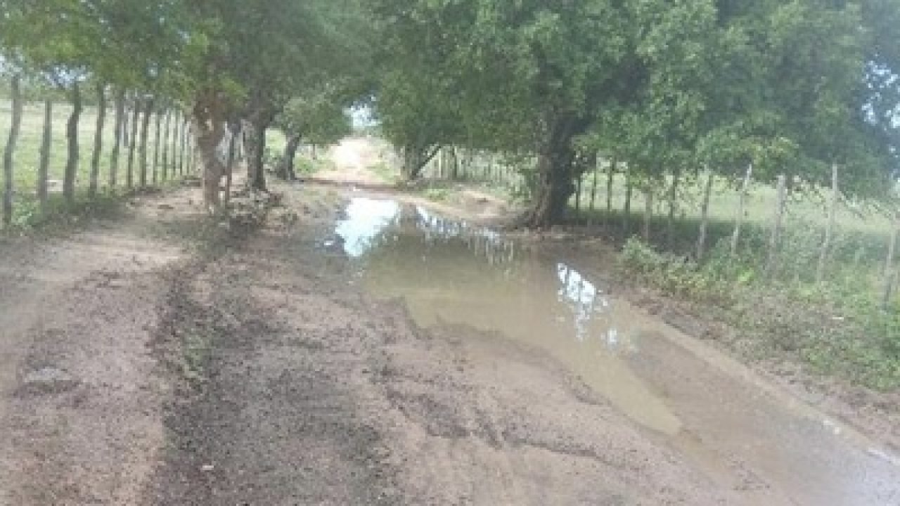 386C7AB7-B896-4F10-8C24-C493C0E8B444