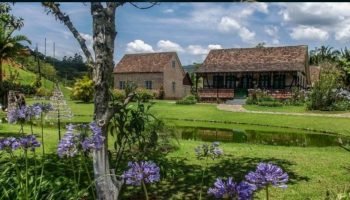 3ed6baf4-carnaval-2026