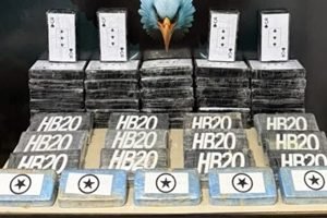 4a8dbc1e-217e-4fab-89cf-24261b540d86-660x330