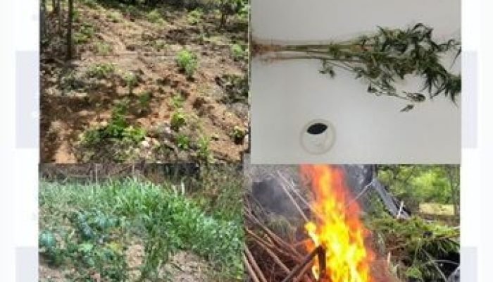 520ad2c1-40fe-42c7-b624-64ce9d1f8e56-360x330