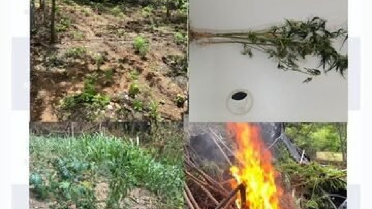 520ad2c1-40fe-42c7-b624-64ce9d1f8e56-360x330-1