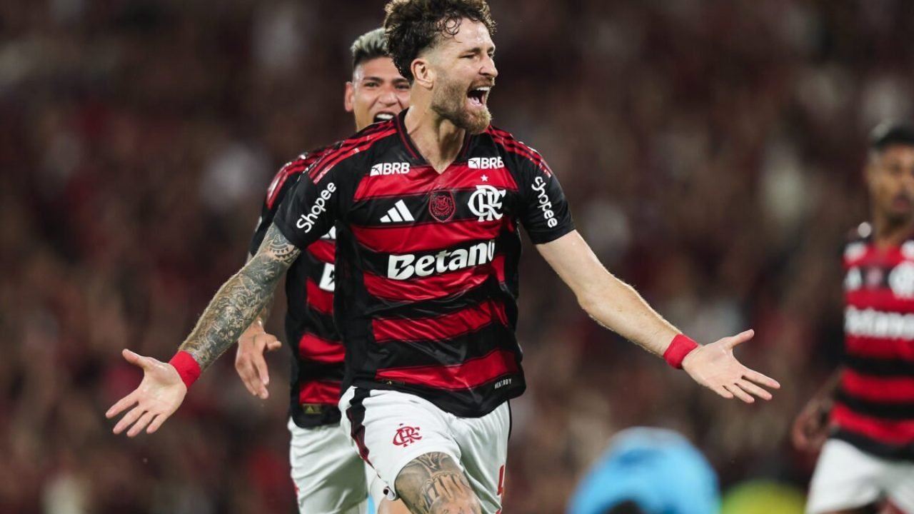 54913118710_802aee8d06_k-1-1200x800