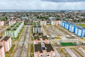 55052154550_849f1e778f_o_0