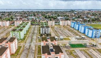 55052154550_849f1e778f_o_0