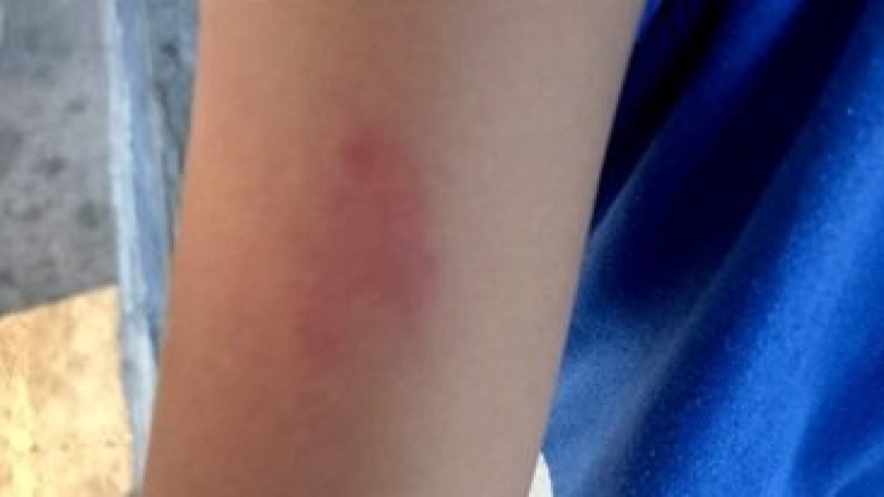 566421435_826970090287551_8816388851873915816_n-640x330-1