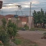 6738FCEB-ACD0-423B-989F-59F6E2051CC3-390x330