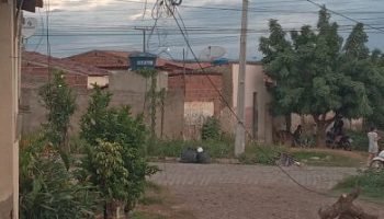 6738FCEB-ACD0-423B-989F-59F6E2051CC3-390x330