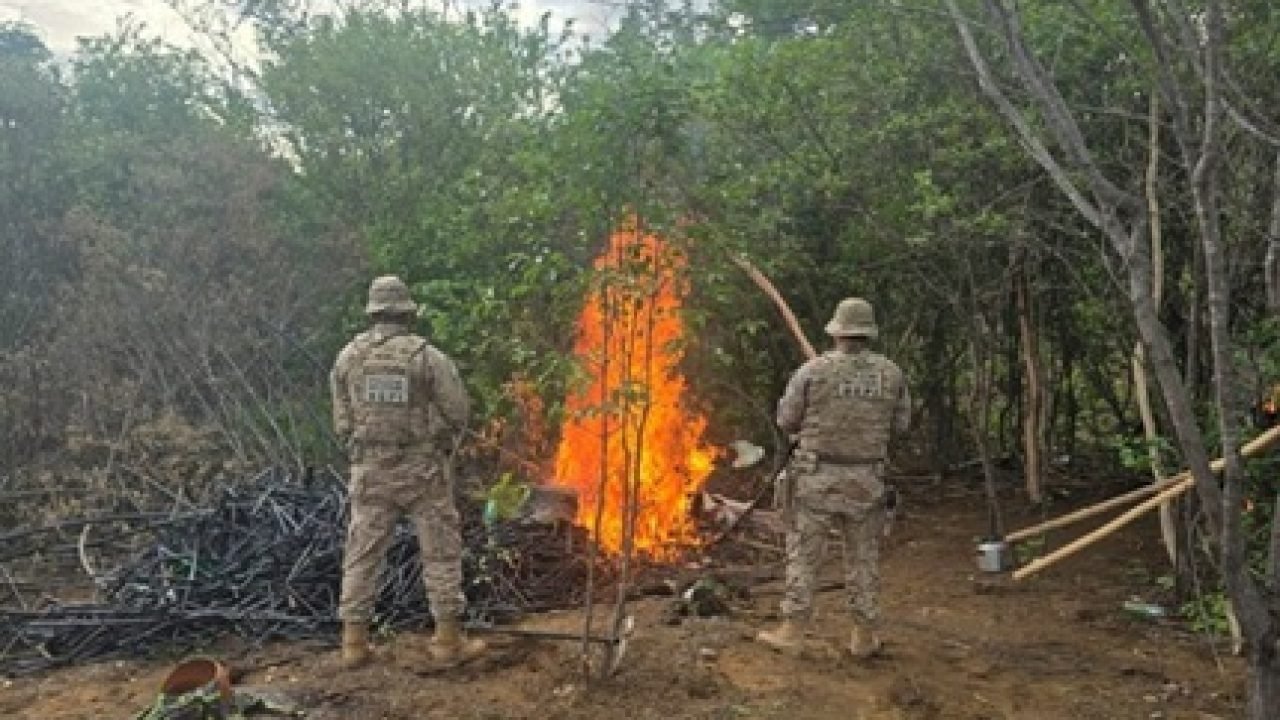 72c0627b-1126-4 72c0627b-1126-4