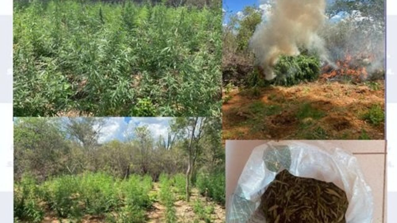 87629b5f-620 87629b5f-620