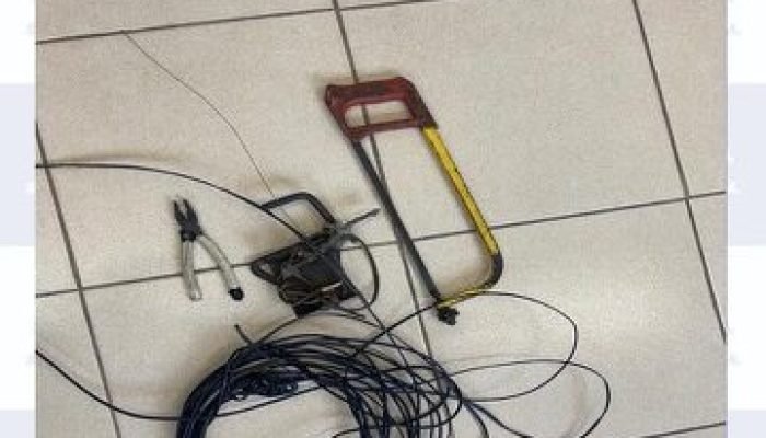 890d4923-66d0-4a68-befc-a2e1d6b44ce4-360x330