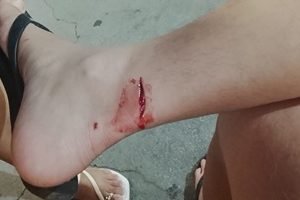 8da41c92-5441-4954-bef2-2684c70beb24