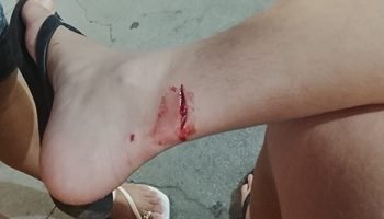 8da41c92-5441-4954-bef2-2684c70beb24