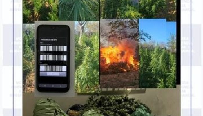 9df96559-8030-486d-a1a0-c5baf5404f42-360x330