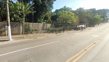 Arvore-cai-e-provoca-morte-de-trabalhador-na-regiao-do-Parque-do-Carmo-zona-sul-de-Sao-Paulo