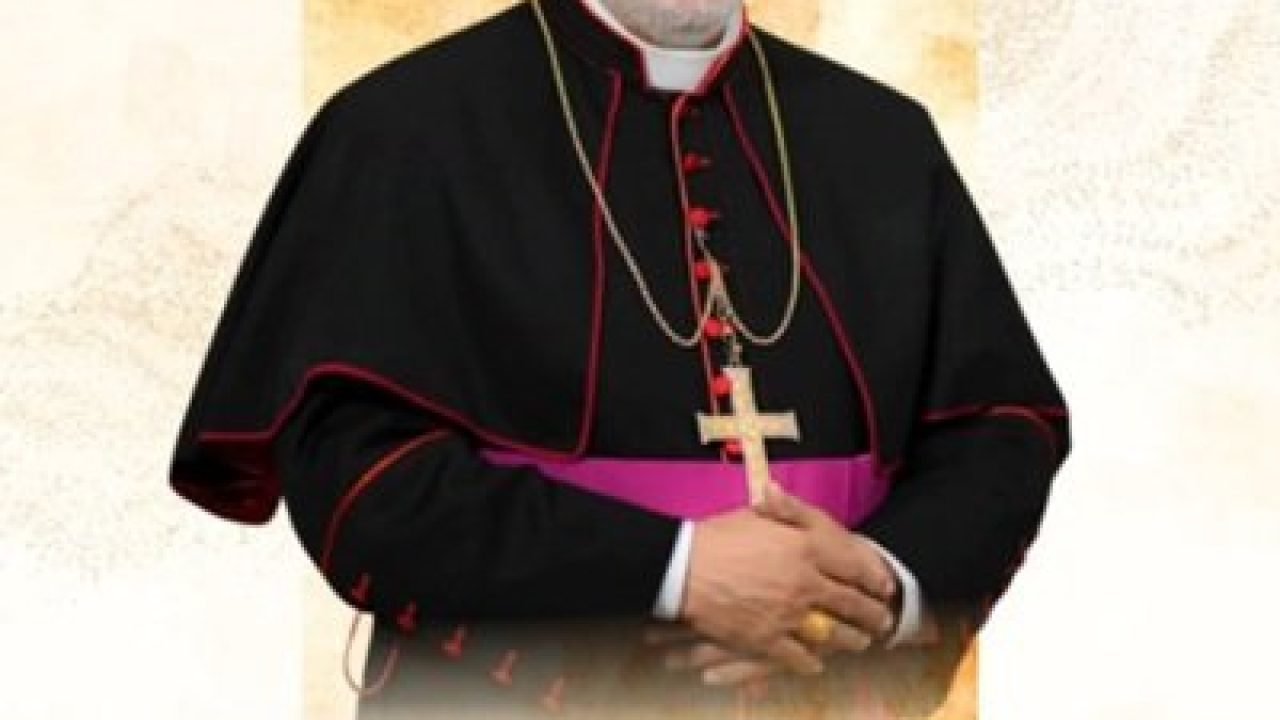 DomVicente DomVicente