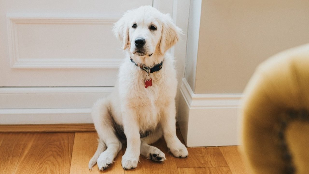 GettyImages-1300404031 GettyImages-1300404031