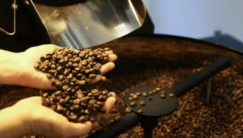 Foto: O consumo deve ser feito por pessoas sem contraindicação médica à cafeína