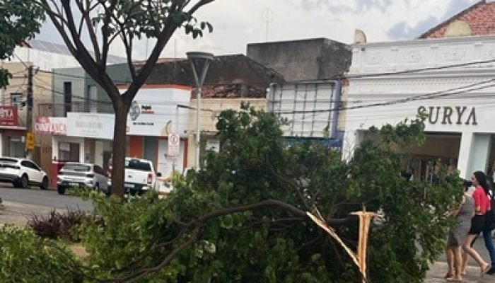 IMG-20260204-WA0026-1-e1770239984531-768x724