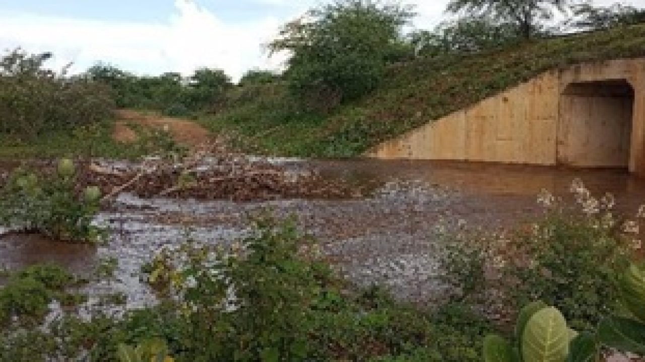 IMG-20260303-WA0017 IMG-20260303-WA0017