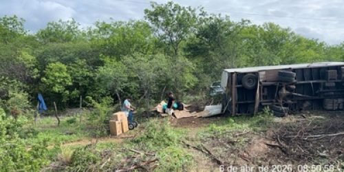 IMG-20260406-WA0041-1