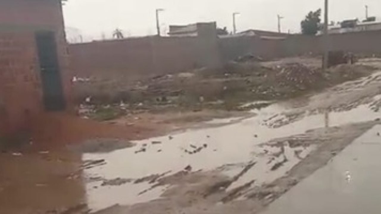 Screenshot Screenshot