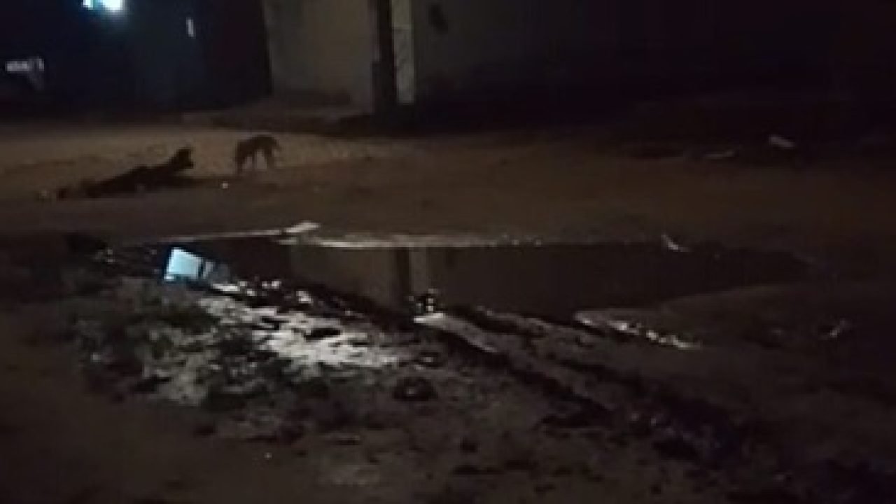 Screenshot Screenshot