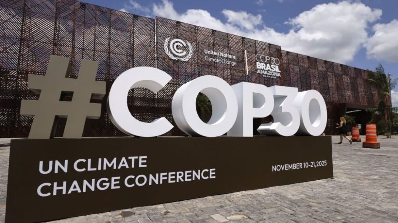 IMG_2288-1000×600 IMG_2288-1000x600