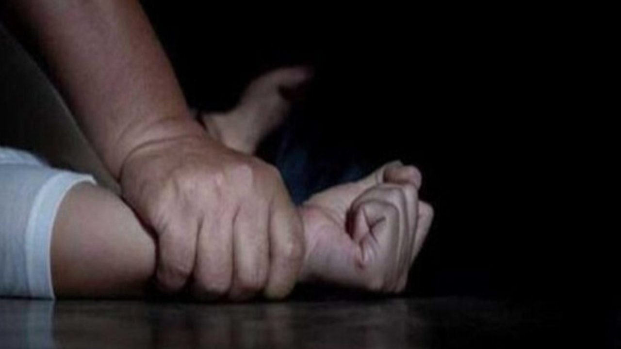 Ilustracao-Reproducao-RD-News