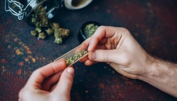 Maconha-cannabis-1