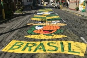 OrnamentacaoBrasil (1)